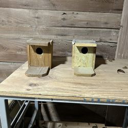 Bird House 