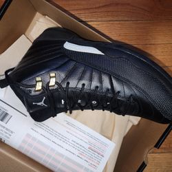 Jordan 12 Master Size 10