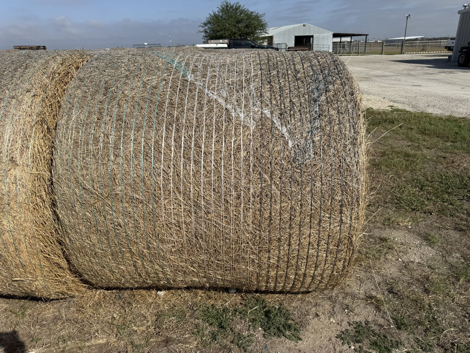 Hay For Sale