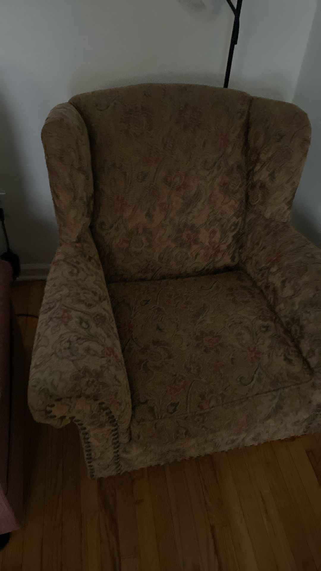 2 Arm Chairs