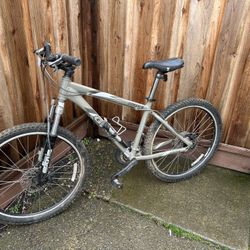 26” Giant Iguana Mountain Bike - Large Frame 