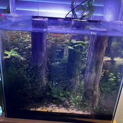 Stocked And Aqua scape Fish Tanks 