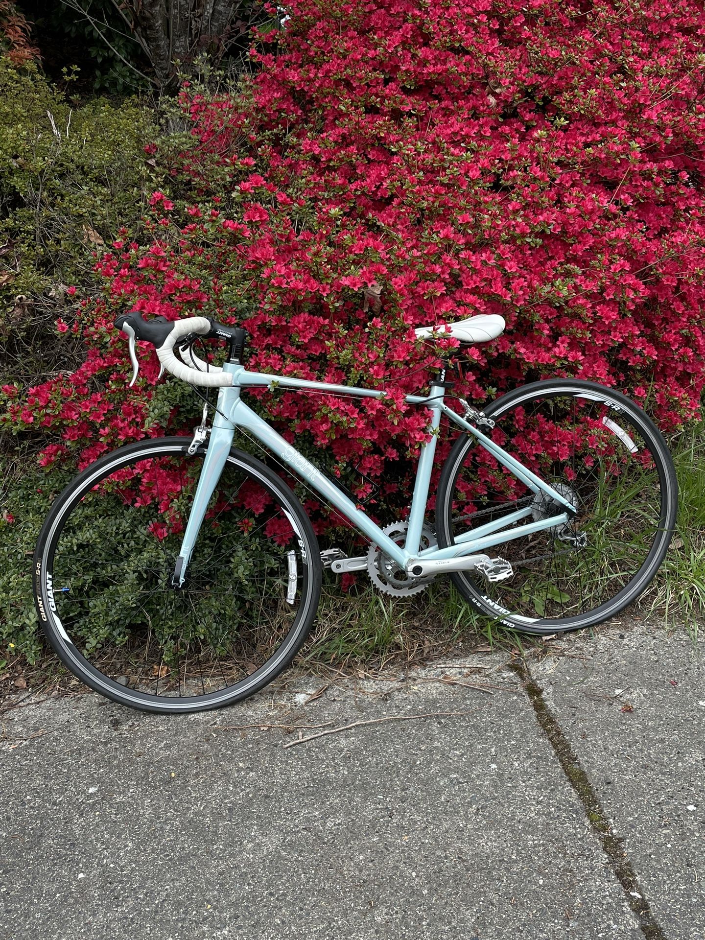 Giant race Bike Bicycles 