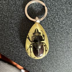Real Beetle Keychain