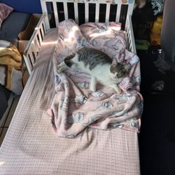 Toddler Bed