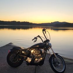 2005 Harley XL883