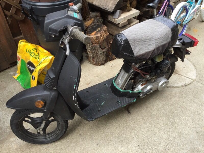 RARE 1986 Honda Spree NQ50D Scooter Shasta White - Lollipop Green