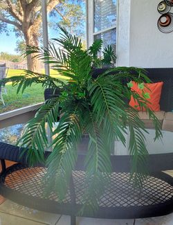Artifical Plant
