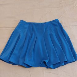 Pleated Flare Skirt