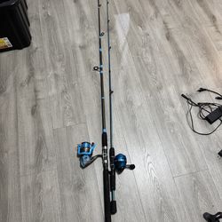 Fishing pole
