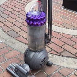 Dyson Cinetic Big Ball -animal