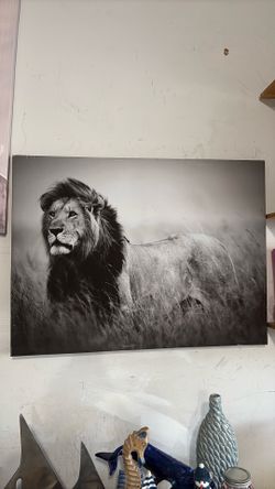 lion wall photo decor