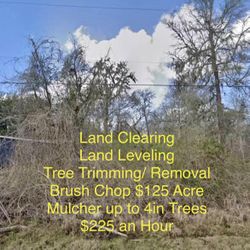 Land Clean Up