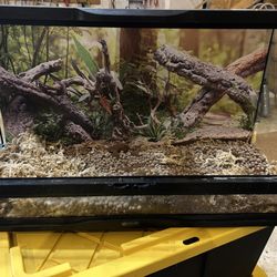 25gal ZooMed Terrarium