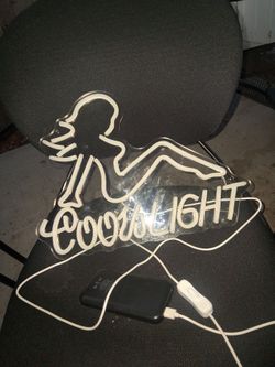 Coors light mud flap girl led sign