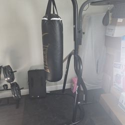 Everlast Punching Bag