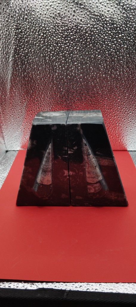 Medium Bookend Orthoceras