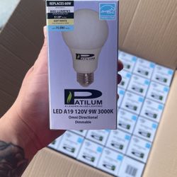 Light Bulbs