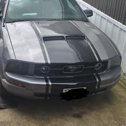 2006 Ford Mustang