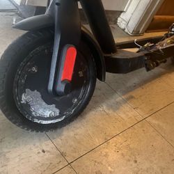 Electric  Scooter