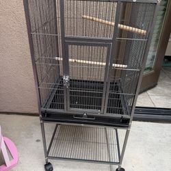 Bird Cage