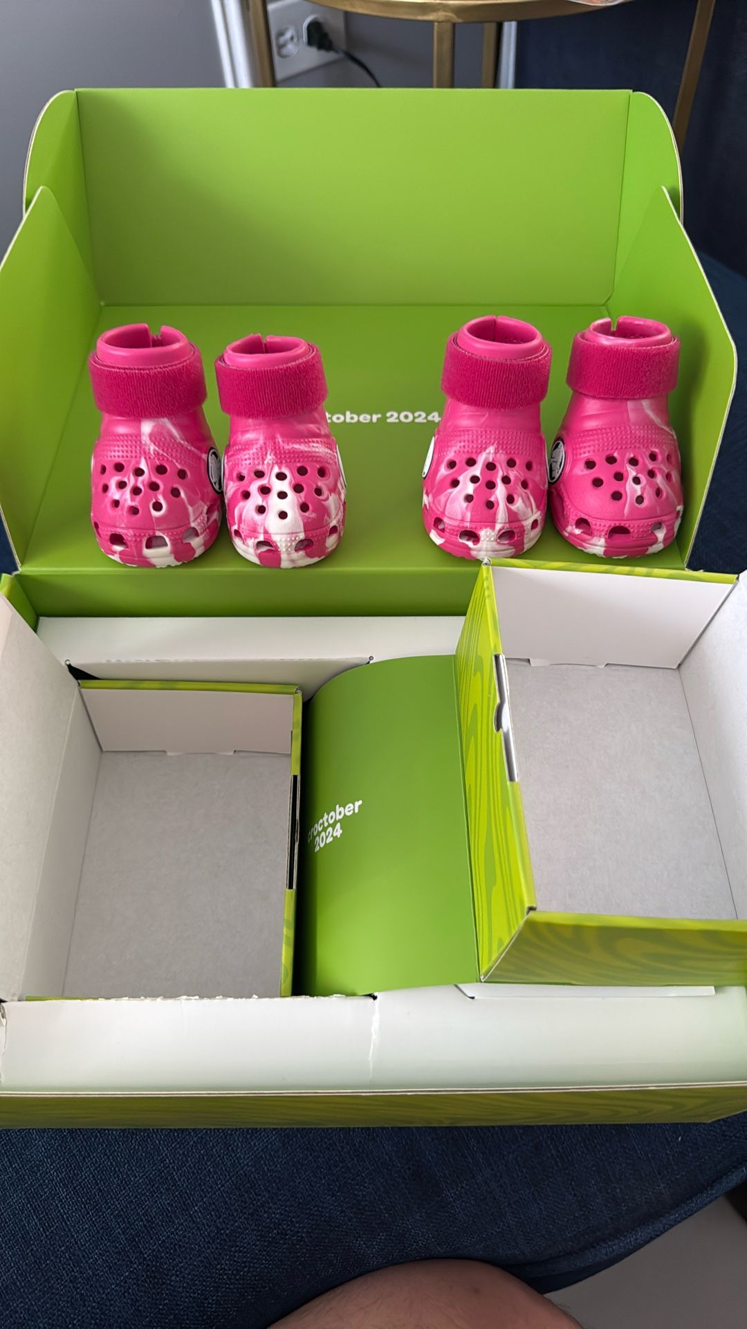 Dog Crocs New