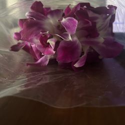 Fresh Leis 