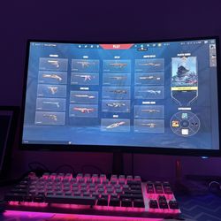 Acer 24” Curved Monitor