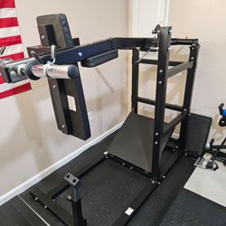 Pendulum Squat Machine