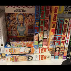 One piece manga