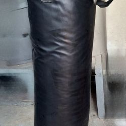 Everlast 100 Lb Heavy Bag