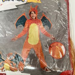 Pokémon Charizard Costume