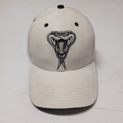 AZ Diamonbacks Twins Enterprise Hat