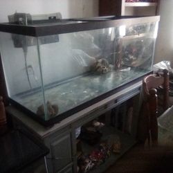 Two Very Nice Aquariums One Of Them Is $125 Gallon And The Other One Is 75 Gallon And They Both Have Fuel Filters