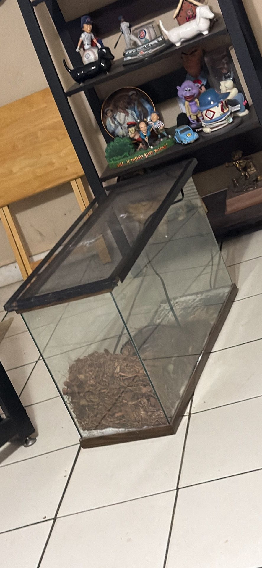 20 Gallon Tank W/ Screen Lid