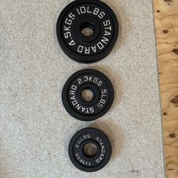 Weight Plate Bundle (170lbs)