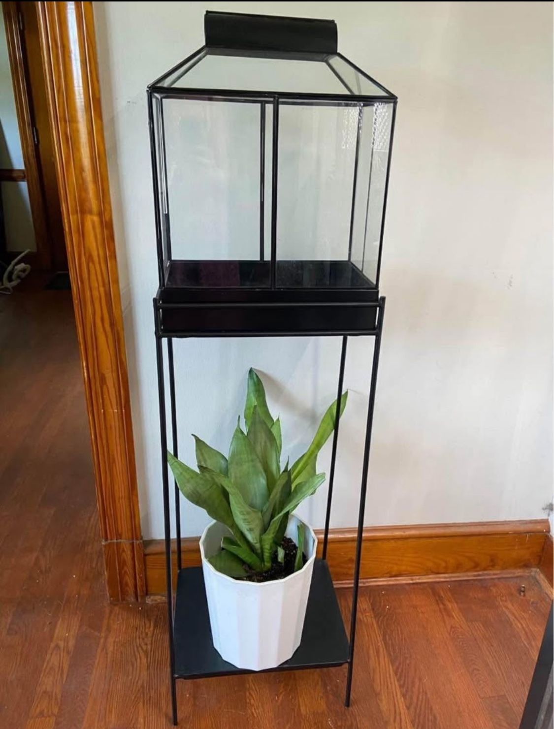 Glass Terrerium And Stand