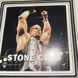 Stone Cold Picture Frame WF 