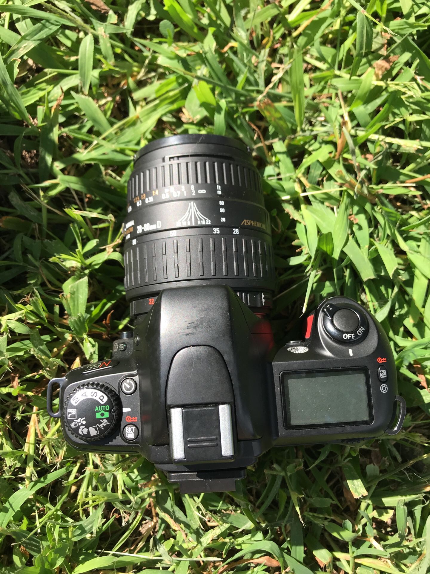 Nikon N65 (35mm) & Tripod