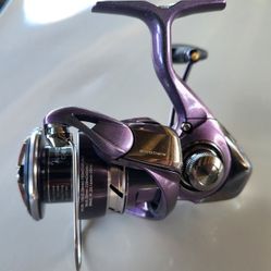 daiwa regal lt 2500d xh