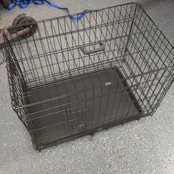 Dog Cage