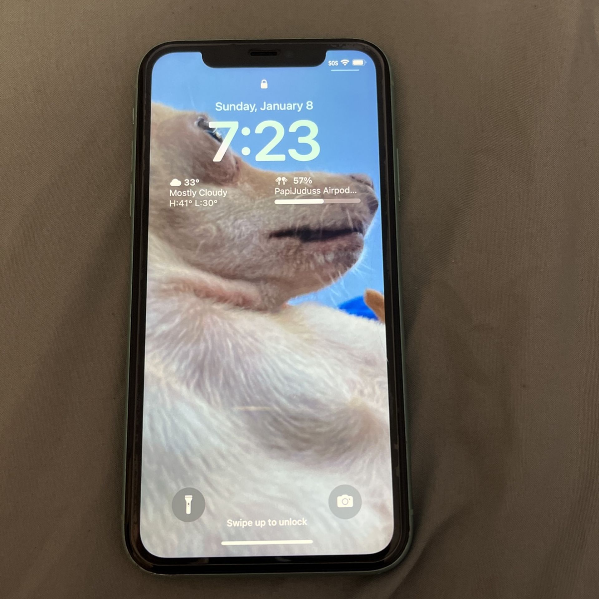 Iphone 11 Broken Face ID!!!!!! for Sale in Reading, PA OfferUp