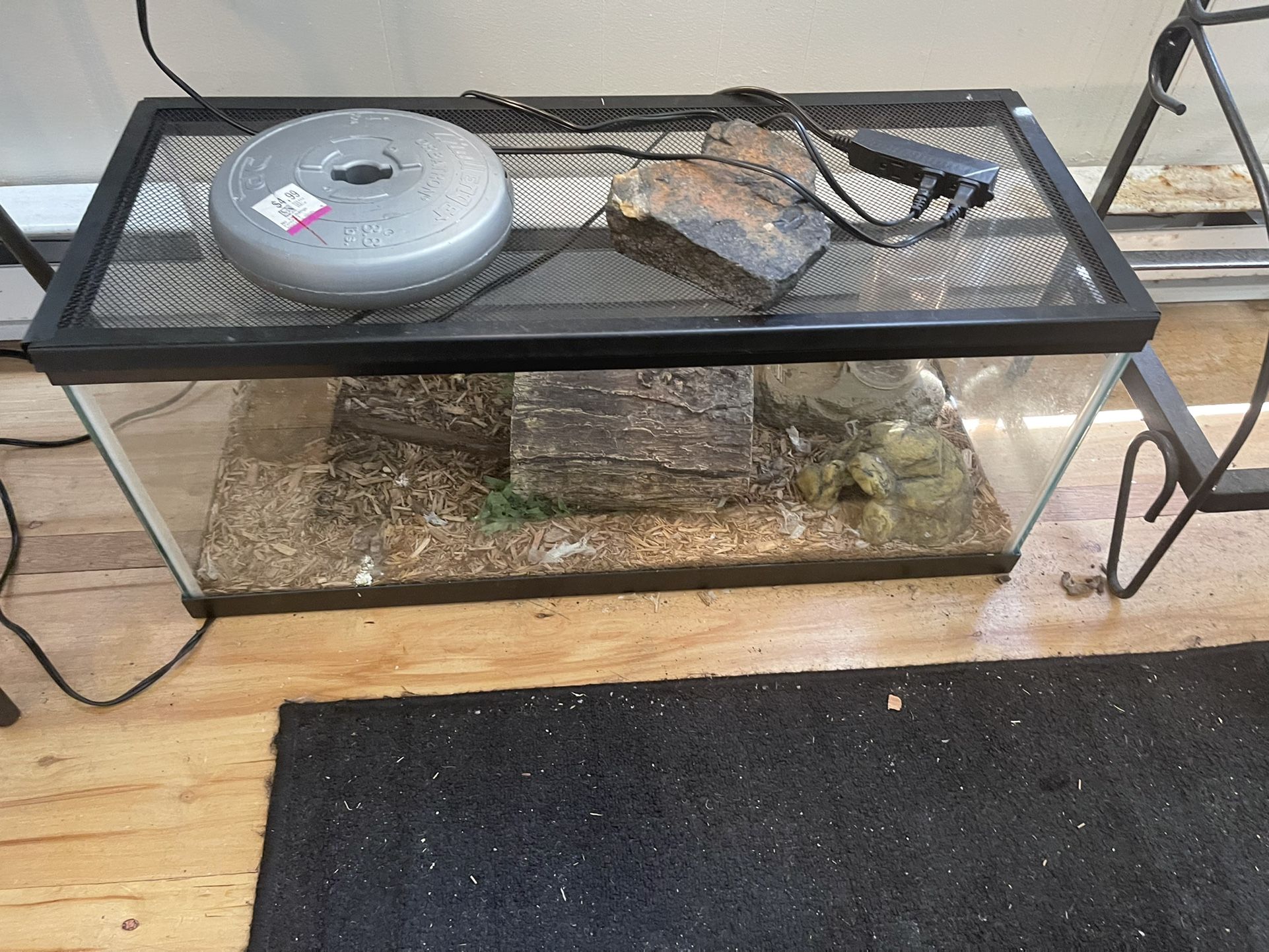 Pet