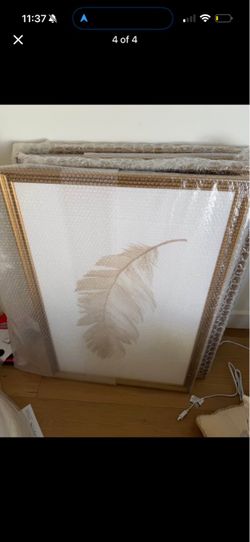 Custom Frames Feather Art - Luxury Art