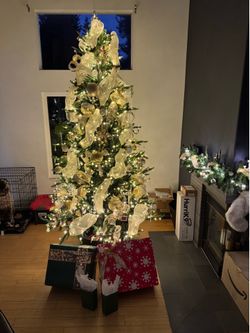 12ft Grand Duchess Twinkling Balsam Fir