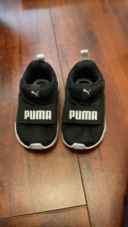 Black puma