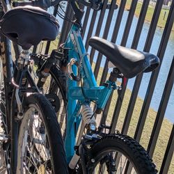 Aqua Blue Bike Adult