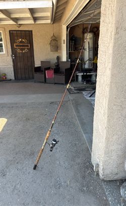 Fishing Pole With reel