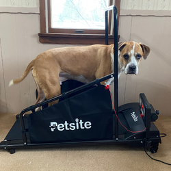 PetSite Dog Treadmill – Large