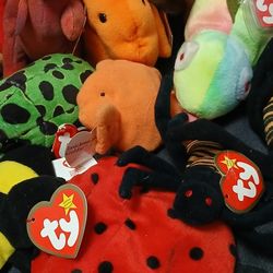 30 Ty Beanie Babies,some Rare & Retired, Tags Errors, $30 ALl